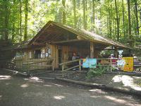 Der Abenteuerwald bei Kenzingen - Ein spannendes und abendteuerliches Erlebnis für Junge und Ältere...
